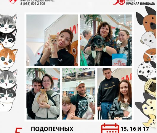 Спешим поделиться итогами выставки в Мегацентре 
